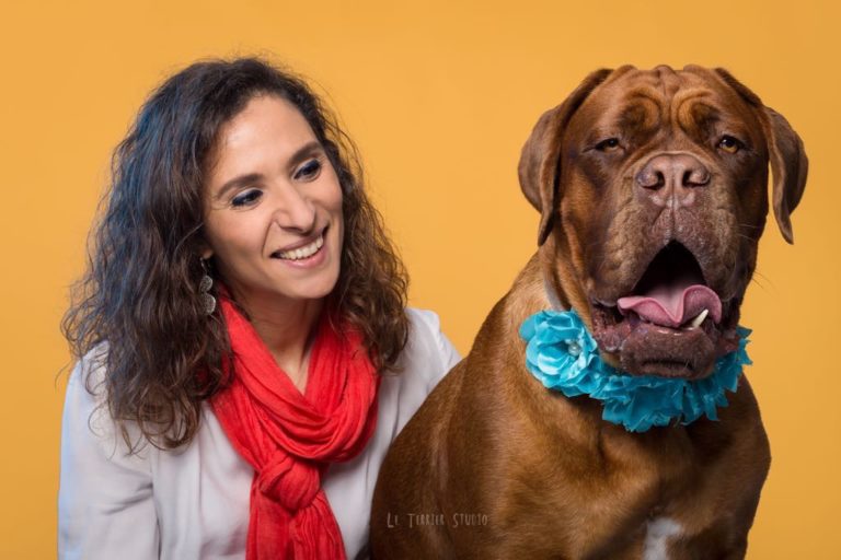 Receitas para tratar Alergias de Animais de Estimação