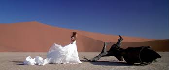 The Cell, Louise Hay, Joe Dispenza, Gregg Braden, Bruce Lipton, Kung Fu & Essential Oils