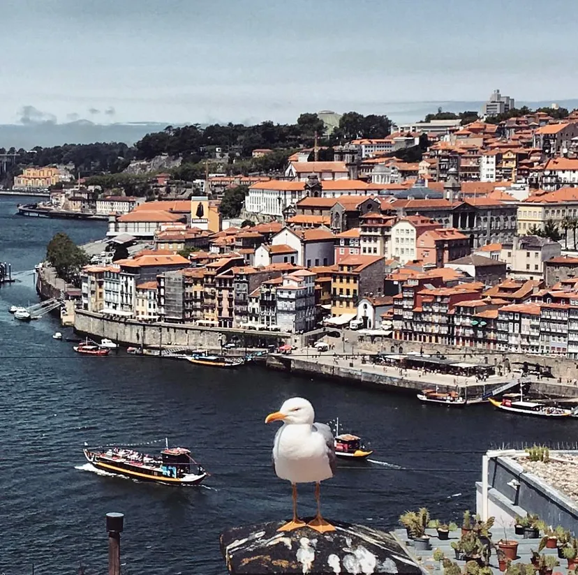 Carta de Amor a Portugal